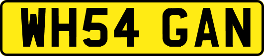 WH54GAN