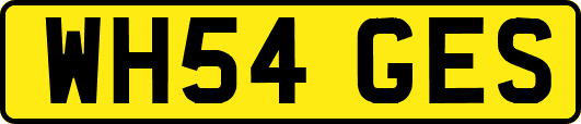 WH54GES