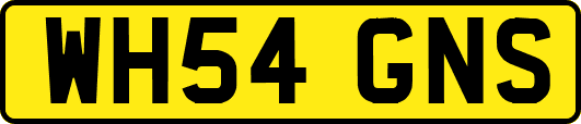 WH54GNS
