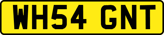 WH54GNT