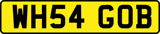 WH54GOB