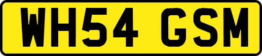 WH54GSM