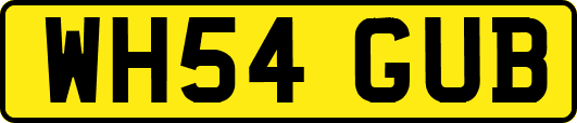 WH54GUB