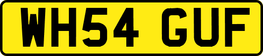 WH54GUF