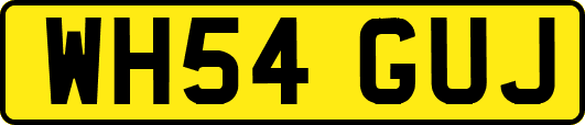 WH54GUJ