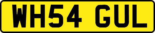 WH54GUL