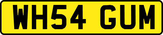 WH54GUM