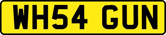 WH54GUN