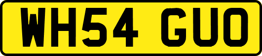 WH54GUO