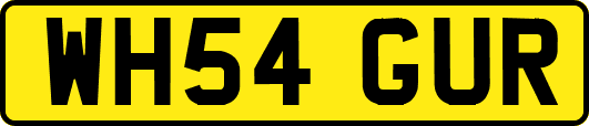 WH54GUR