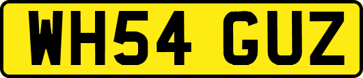WH54GUZ