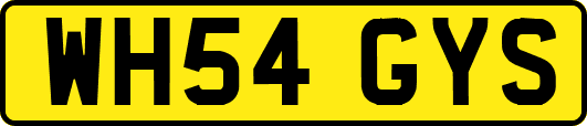WH54GYS