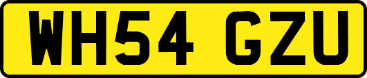 WH54GZU