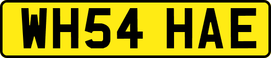 WH54HAE