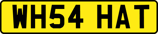 WH54HAT