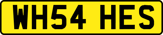 WH54HES