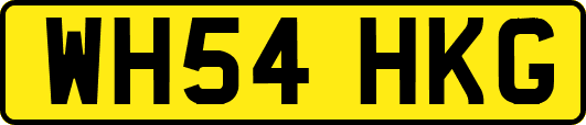 WH54HKG