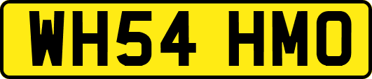 WH54HMO