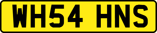WH54HNS