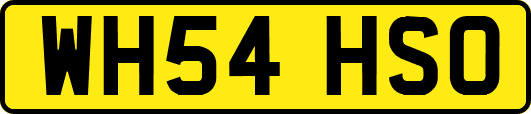 WH54HSO