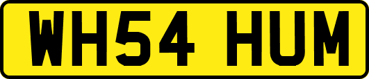 WH54HUM