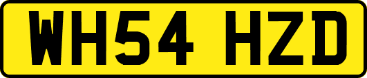 WH54HZD