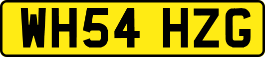 WH54HZG