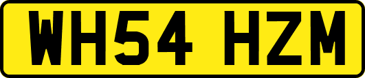 WH54HZM