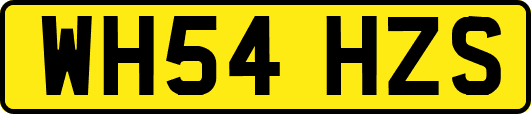 WH54HZS