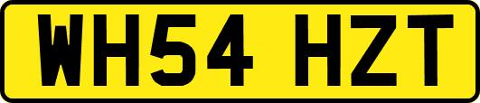 WH54HZT