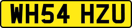 WH54HZU