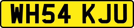 WH54KJU