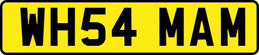 WH54MAM