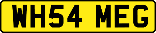 WH54MEG