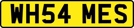 WH54MES