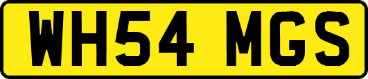 WH54MGS