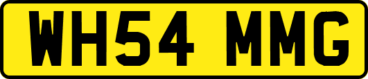WH54MMG