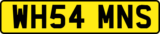WH54MNS