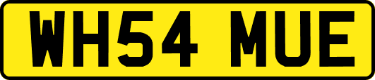 WH54MUE