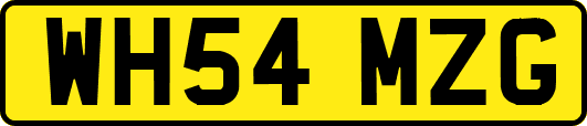 WH54MZG