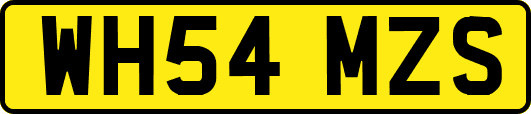 WH54MZS