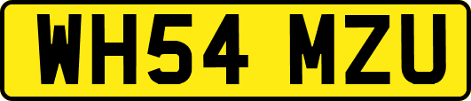 WH54MZU