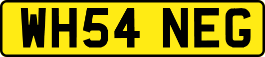 WH54NEG