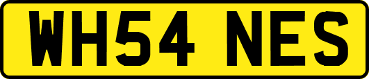 WH54NES