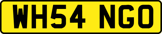 WH54NGO