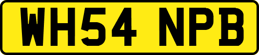 WH54NPB