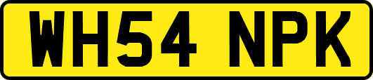 WH54NPK