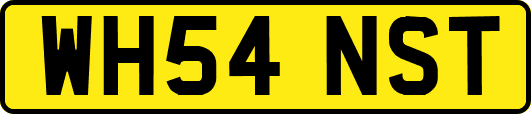 WH54NST