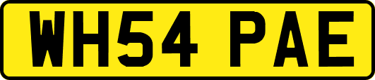 WH54PAE