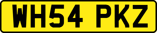 WH54PKZ